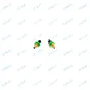 7.webp