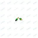 6.webp